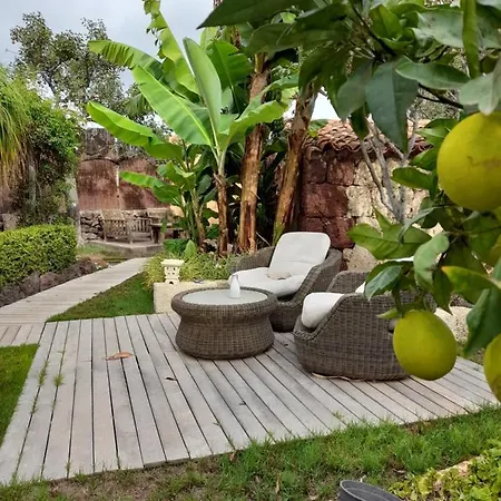 Accommodatie bij particulieren La Serenita, Temporada