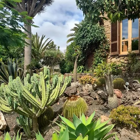 La Serenita, Temporada Privat bolig Arona (Tenerife)