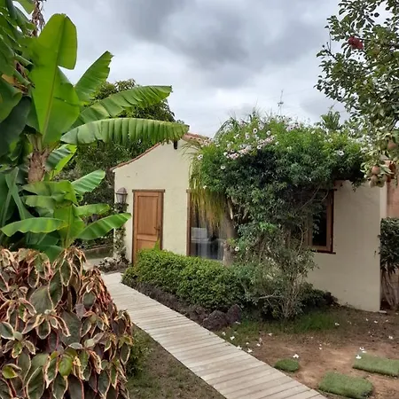 La Serenita, Temporada Privat bolig Arona (Tenerife)